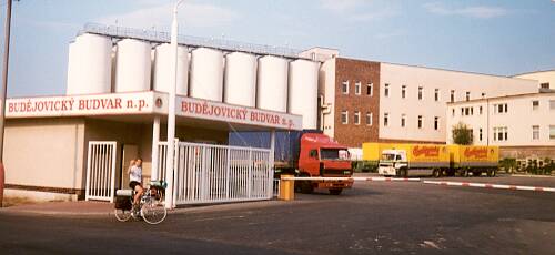 t_beer01.jpg