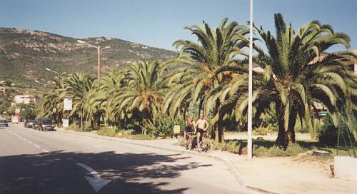 corse10.jpg