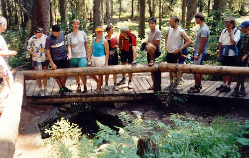 sumava06.jpg