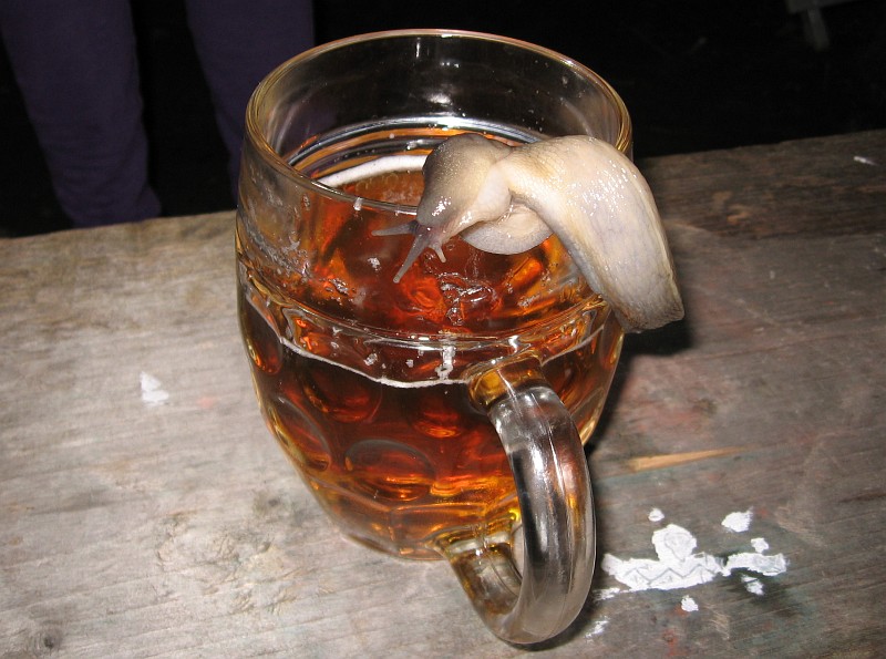 tt_1411.jpg
